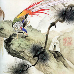 HDPT-CHIMCONG-YL-A260